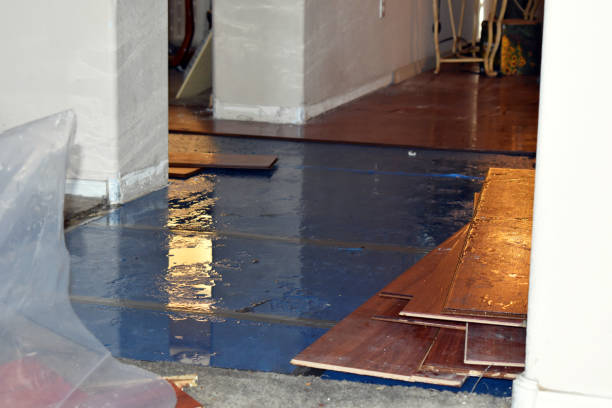 Professional Basement Flood Cleanup technician working in Phillipsburg, KS